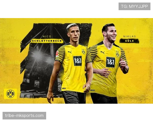 德甲转会窗口开启,各队积极补强阵容,值得关注的球员名单分析 德甲转会窗口开启,各队积极补强阵容,值得关注的球员名单分析