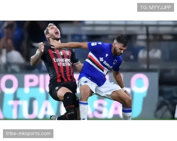 斯托克城中场核心