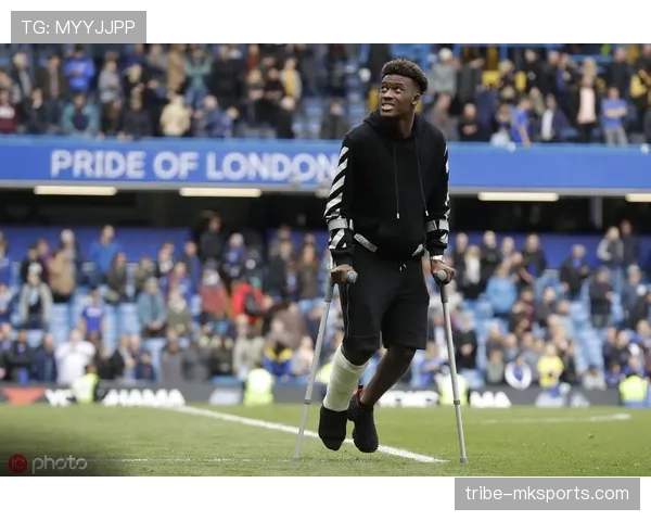 拜仁慕尼黑最新引援消息与转会动态 拜仁慕尼黑最新引援消息与转会动态