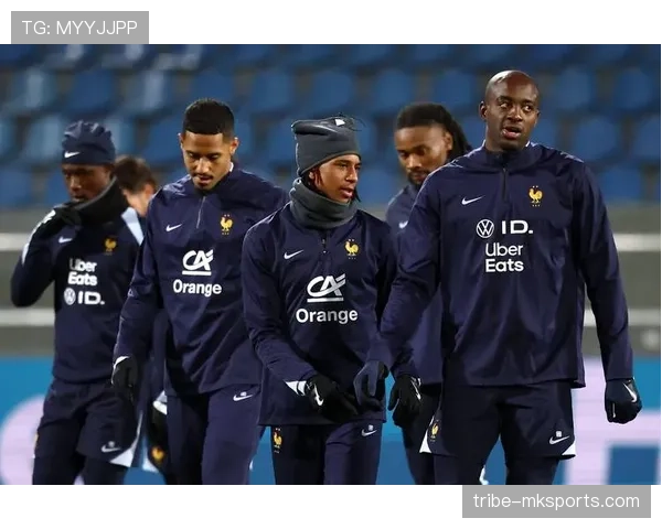 德尚战术适配性提升，法国队体系运转更稳健